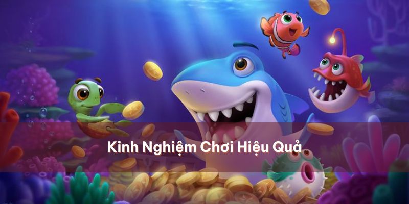 Mẹo hay bỏ túi ngay thu tiền thưởng khủng